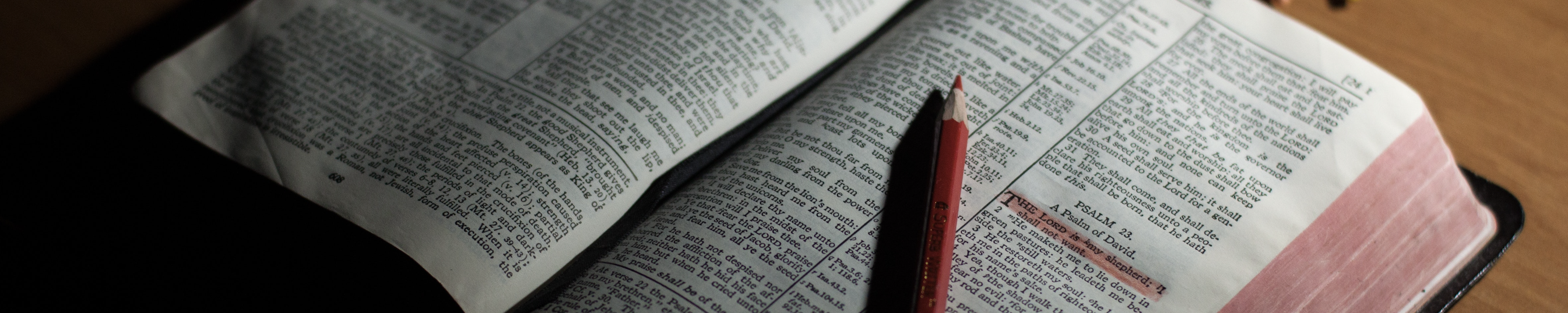 BTX 2031 Inductive Bible Study VC Term 6 2024-25