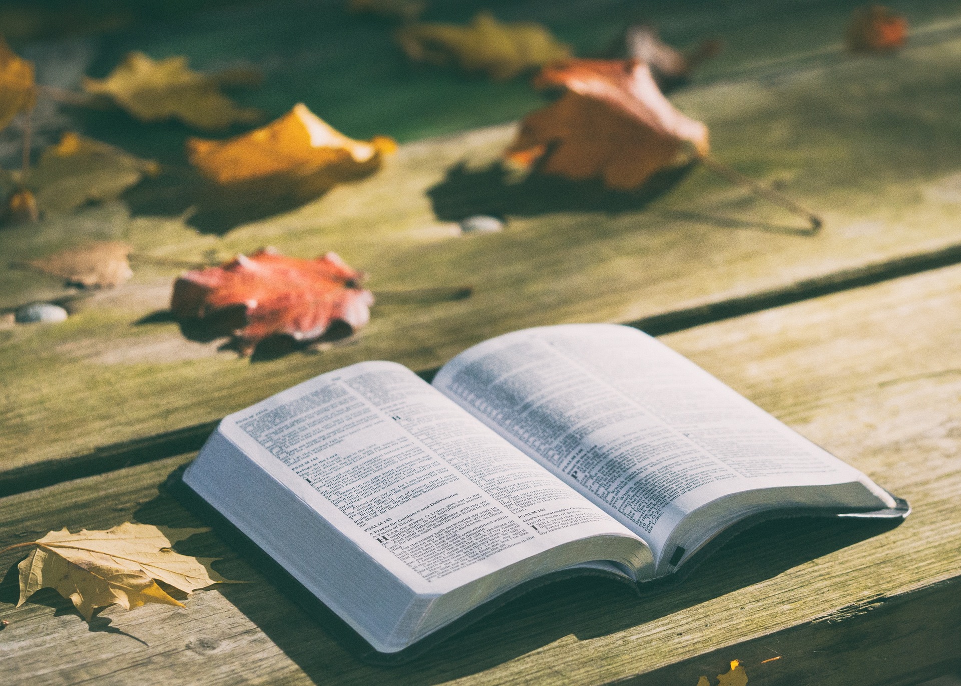 NTX 1014 New Testament Introduction (Providence - Fall 2024)