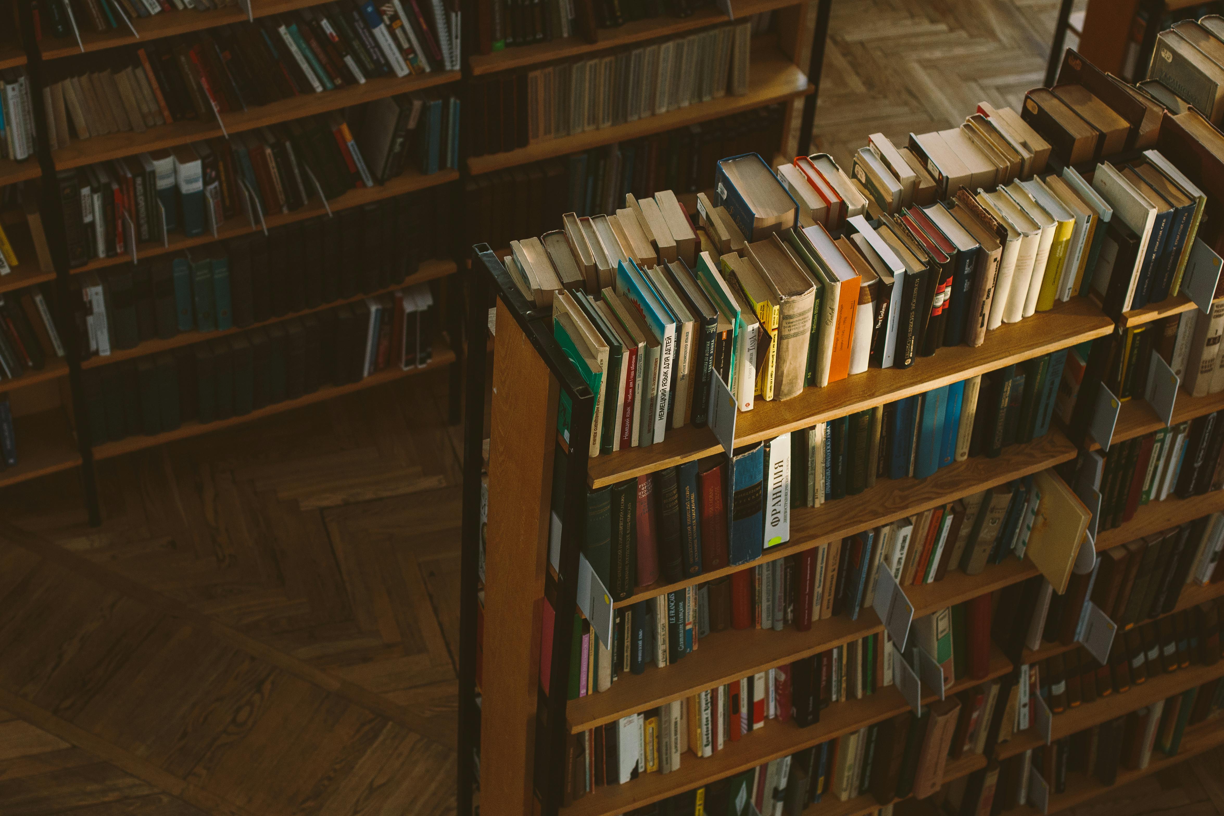 OT101: Biblical Literature I Term 3 2024-2025