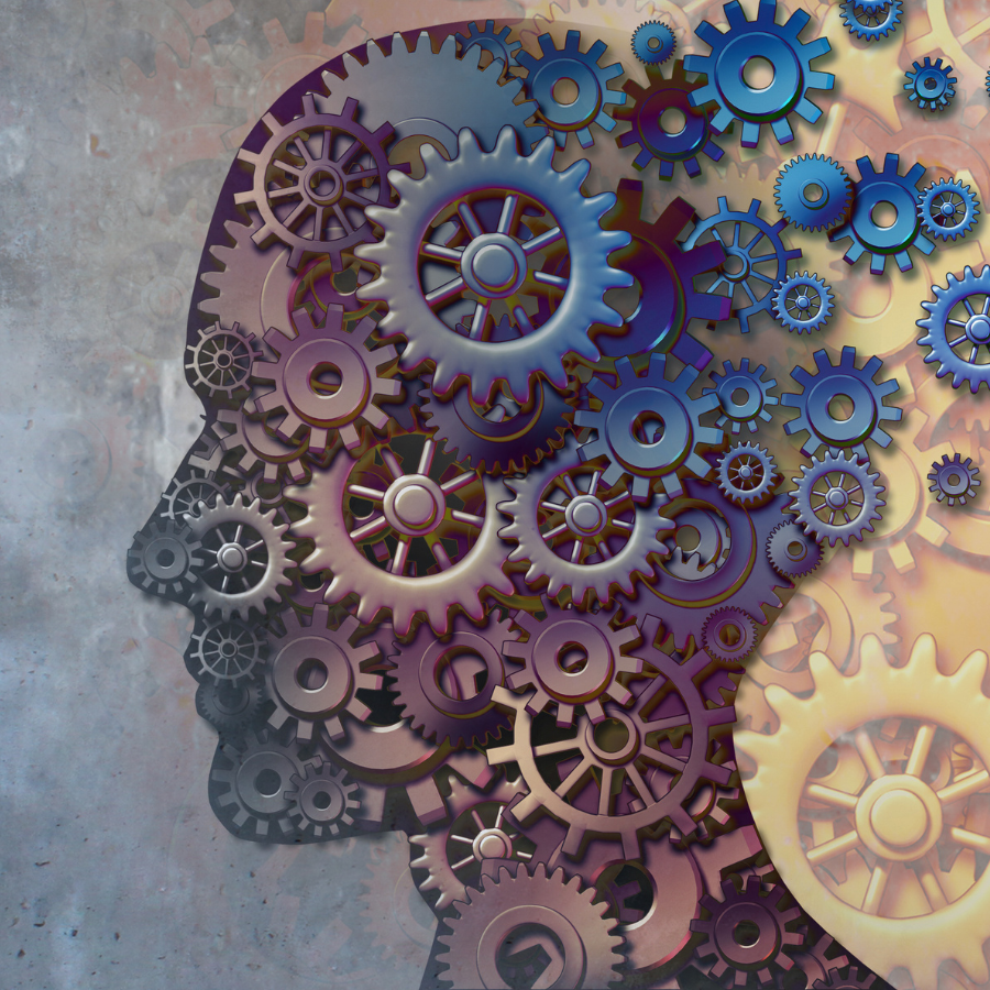 PS104: General Psychology Term 5 2024-2025