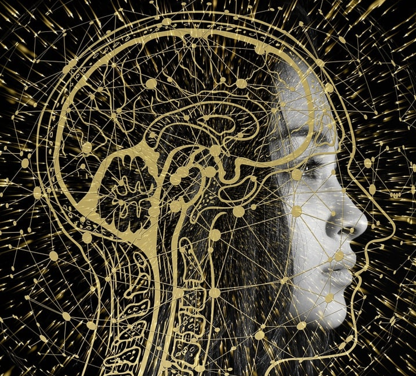 PS405: Psychopathology Term 5 2024-2025