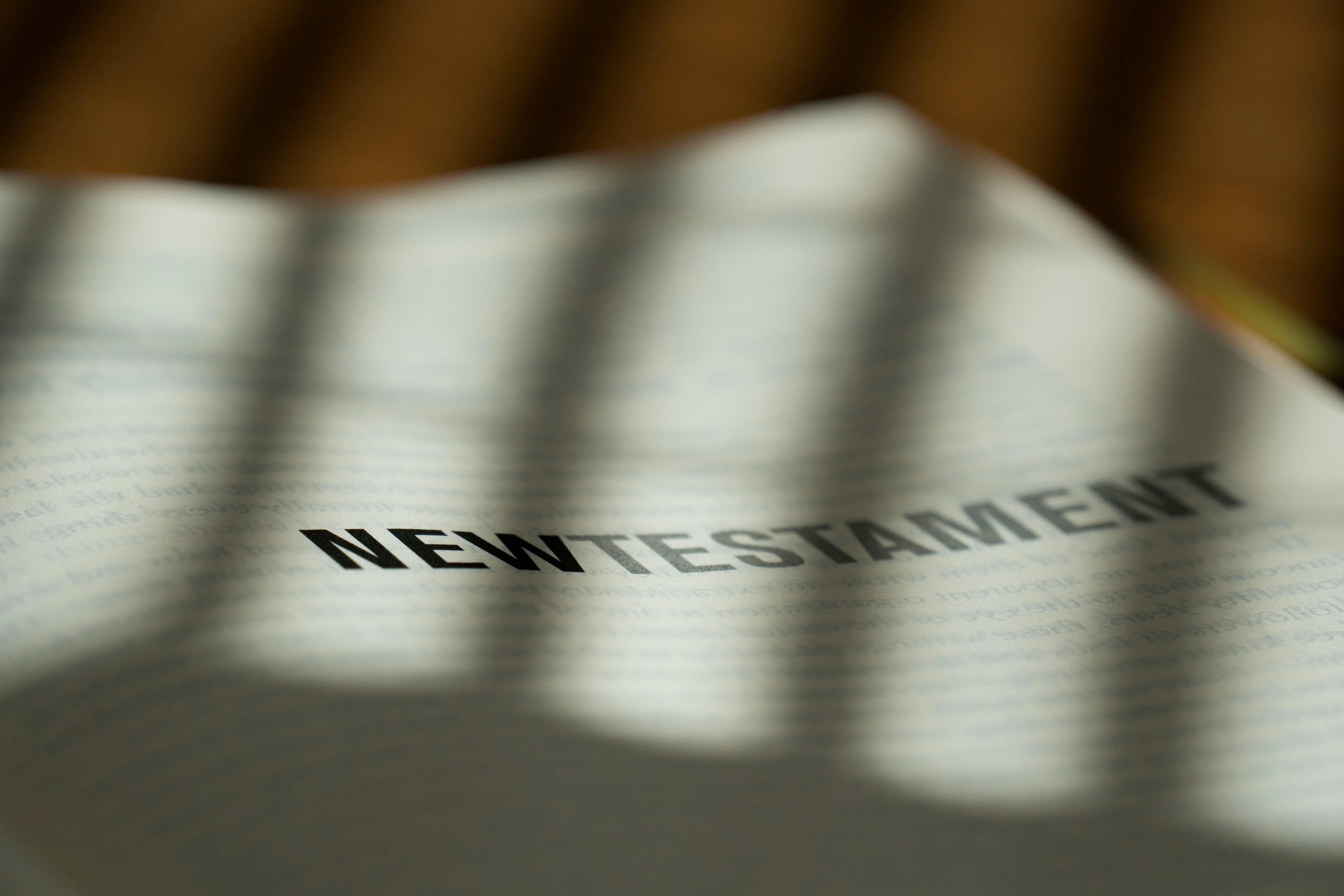 NTX 1014 New Testament Introduction (Journey 2025)